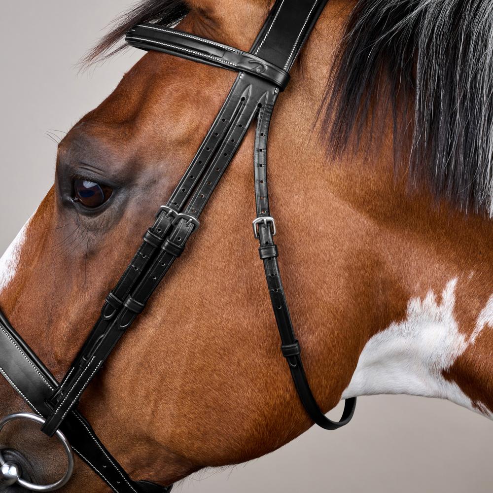 Wide Noseband Hunter Bridle US | Dy'on | elegantcomfort — Image 8
