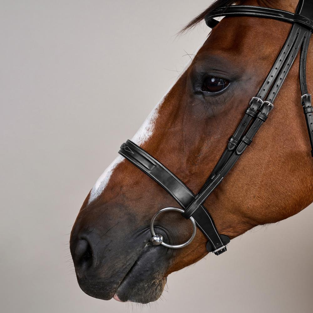 Cavesson Hunter Noseband Bridle US | Dy'on | elegance — Image 9