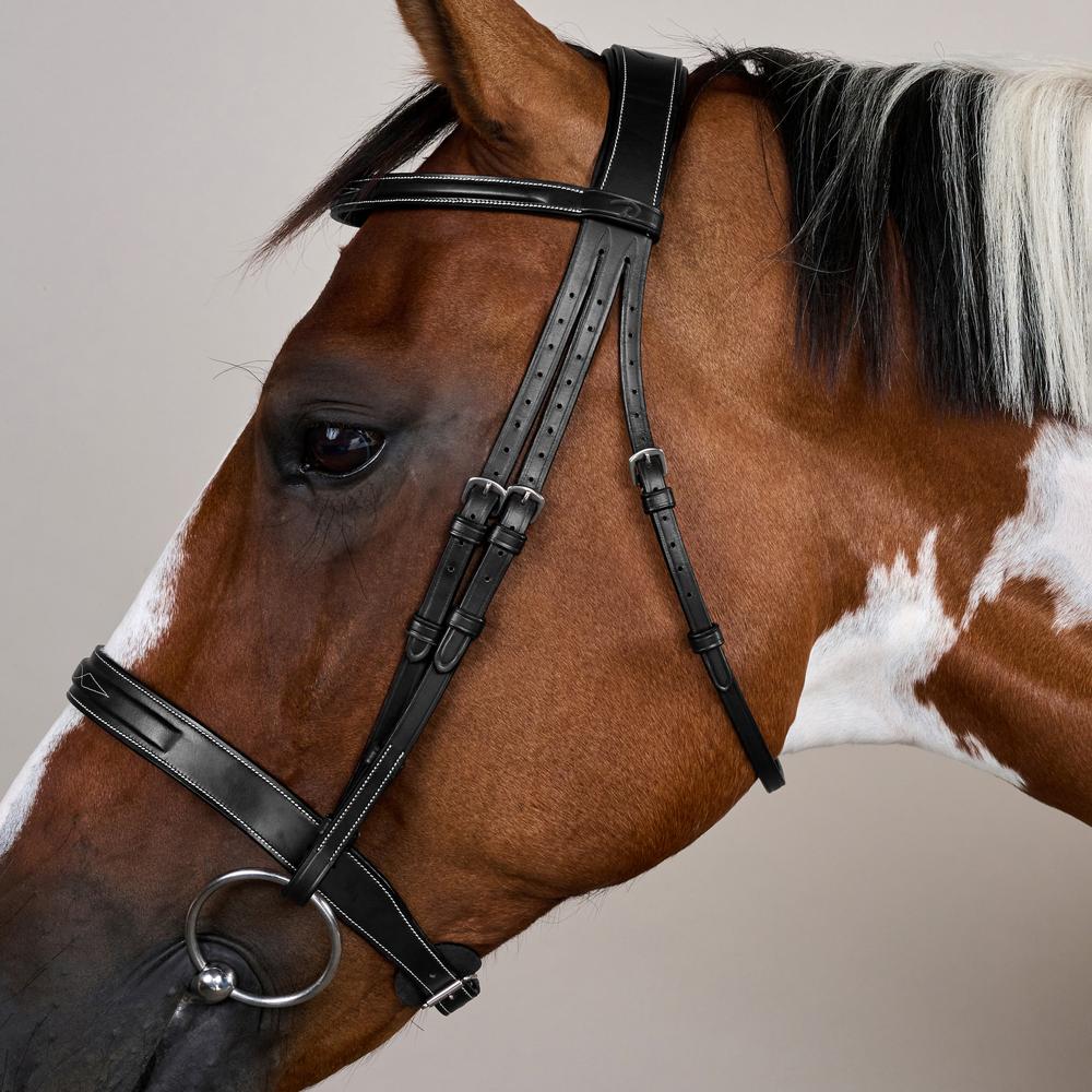 Cavesson Hunter Noseband Bridle US | Dy'on | elegance — Image 8