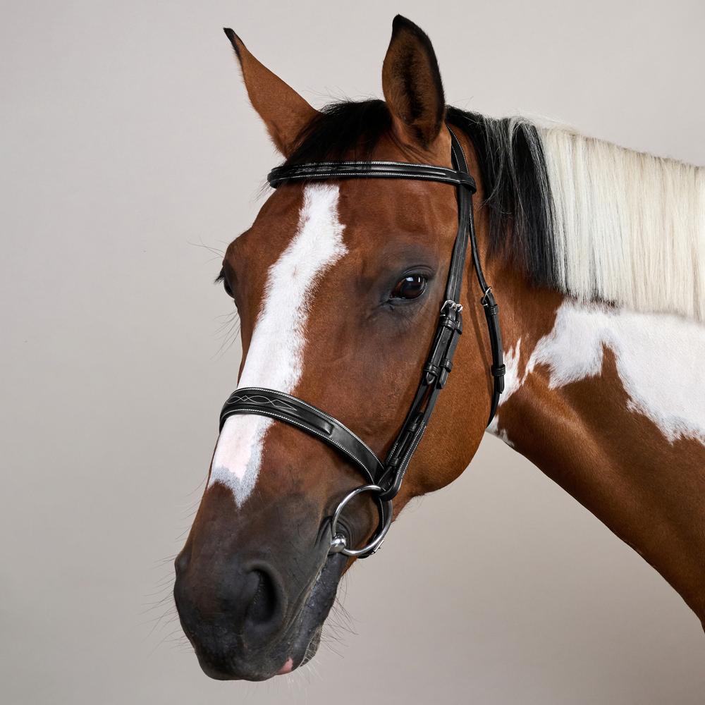 Cavesson Hunter Noseband Bridle US | Dy'on | elegance — Image 7