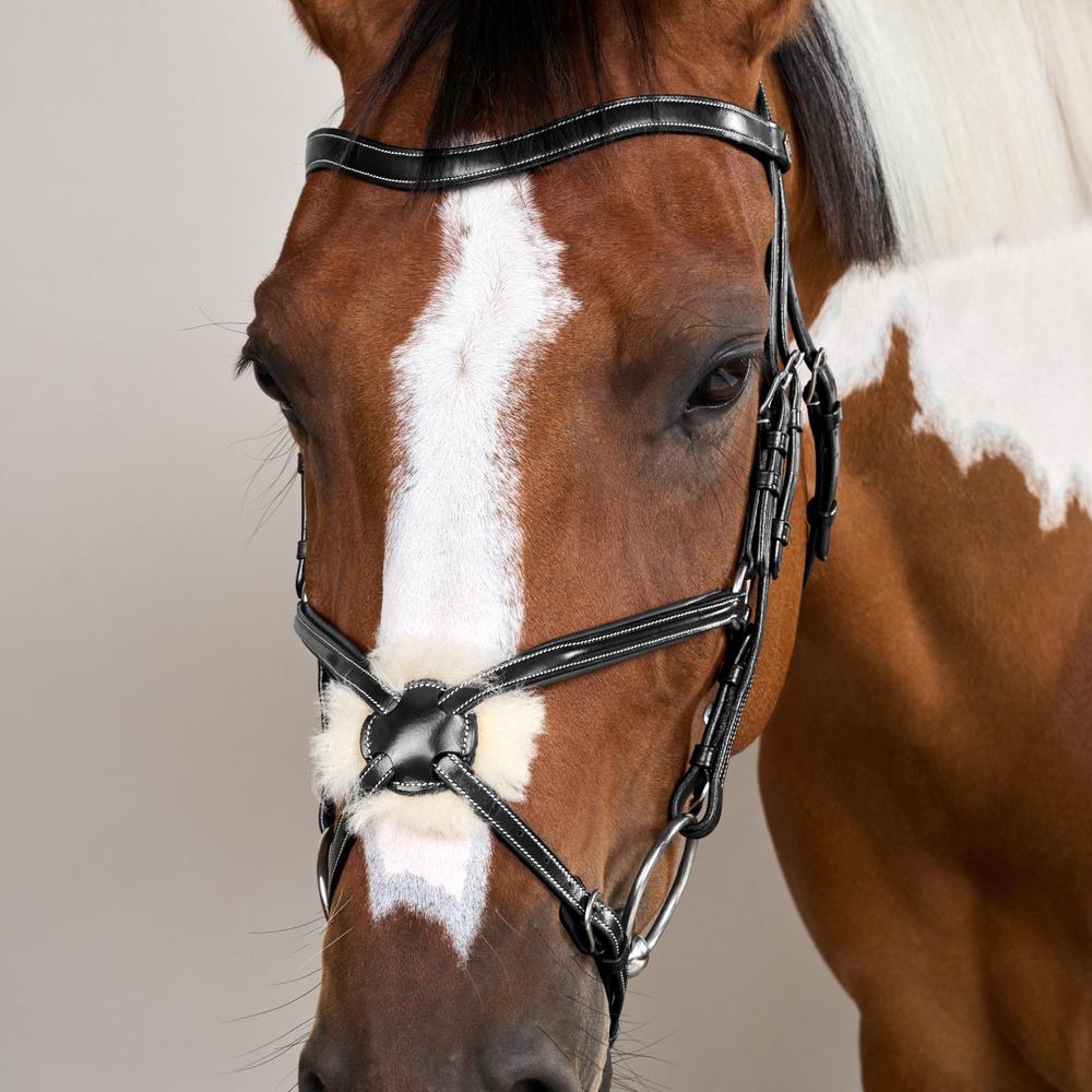 Figure 8 Noseband Bridle WO | Dy'on | Comfort — Image 6