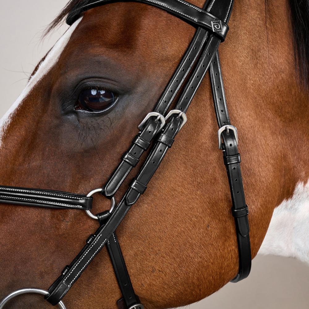 Figure 8 Noseband Bridle WO | Dy'on | Comfort — Image 5
