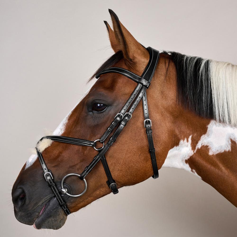 Figure 8 Noseband Bridle WO | Dy'on | Comfort — Image 3