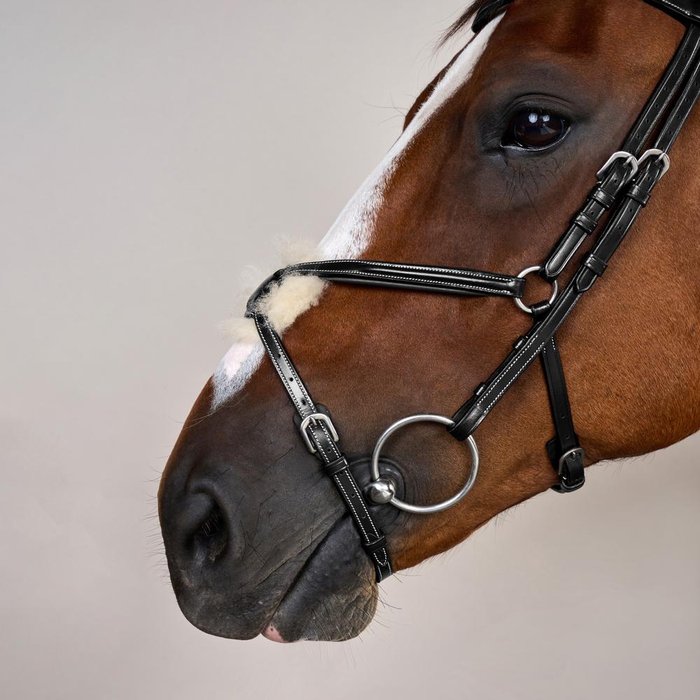 Figure 8 Noseband Bridle WO | Dy'on | Comfort — Image 4