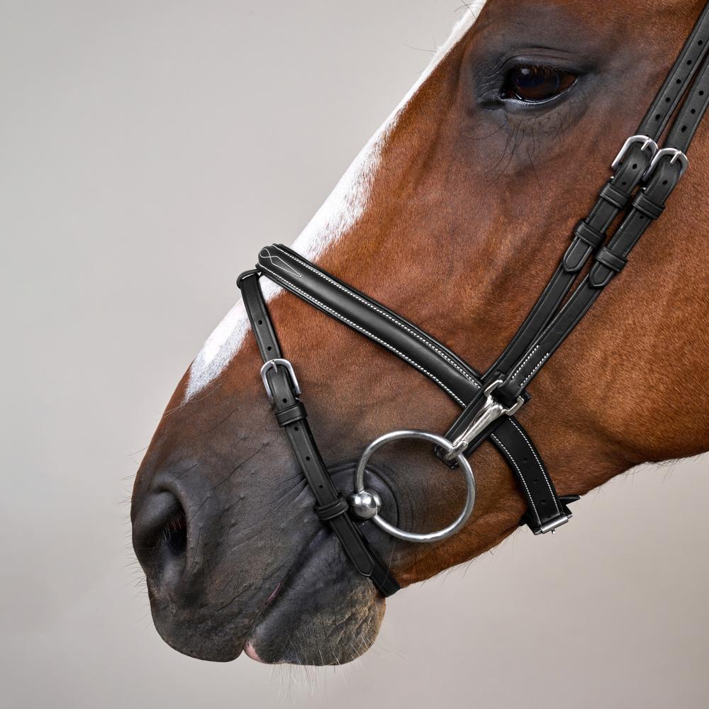 Flash Noseband Bridle with Snap Cheekpieces WO | Dy'on | Durable — Image 8