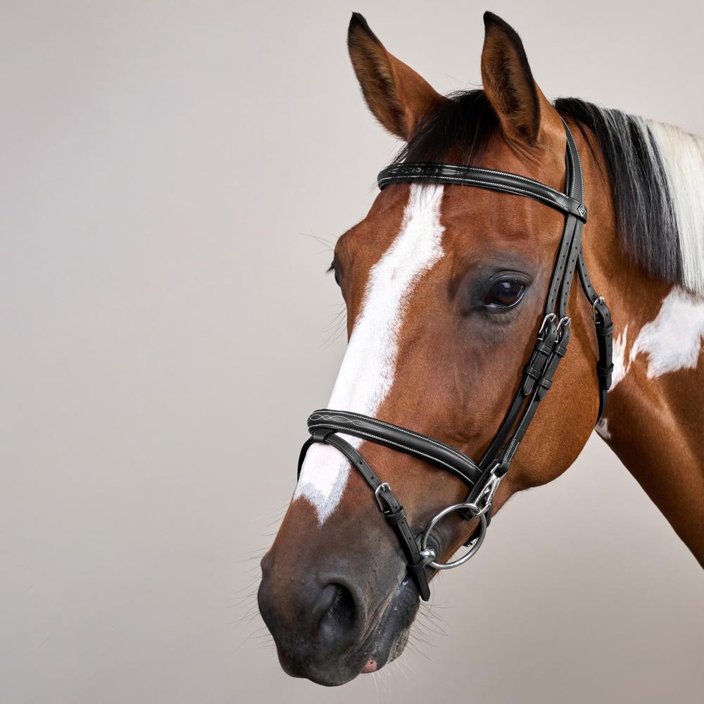 Flash Noseband Bridle with Snap Cheekpieces WO | Dy'on | Durable — Image 7