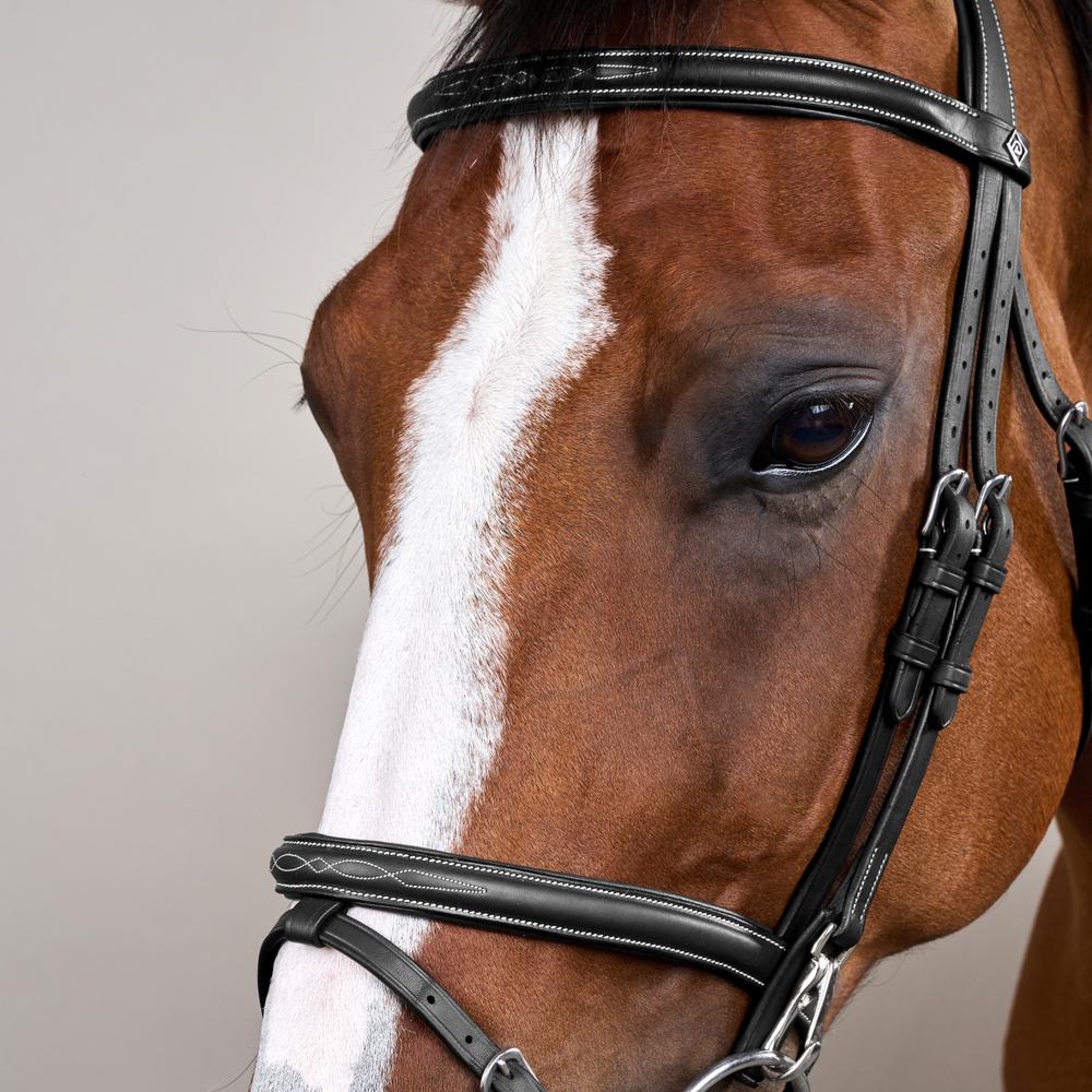Flash Noseband Bridle with Snap Cheekpieces WO | Dy'on | Durable — Image 9