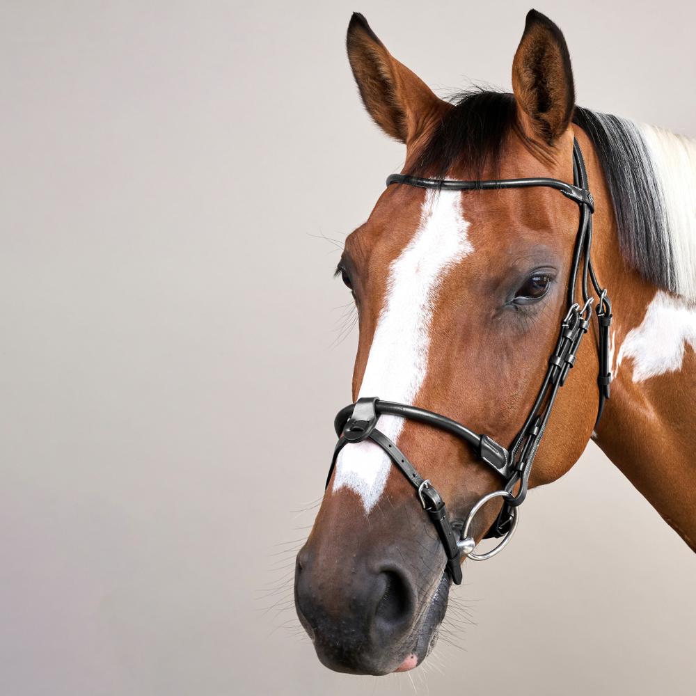 Round Leather Bridle WO | Dy'on | Comfort — Image 7