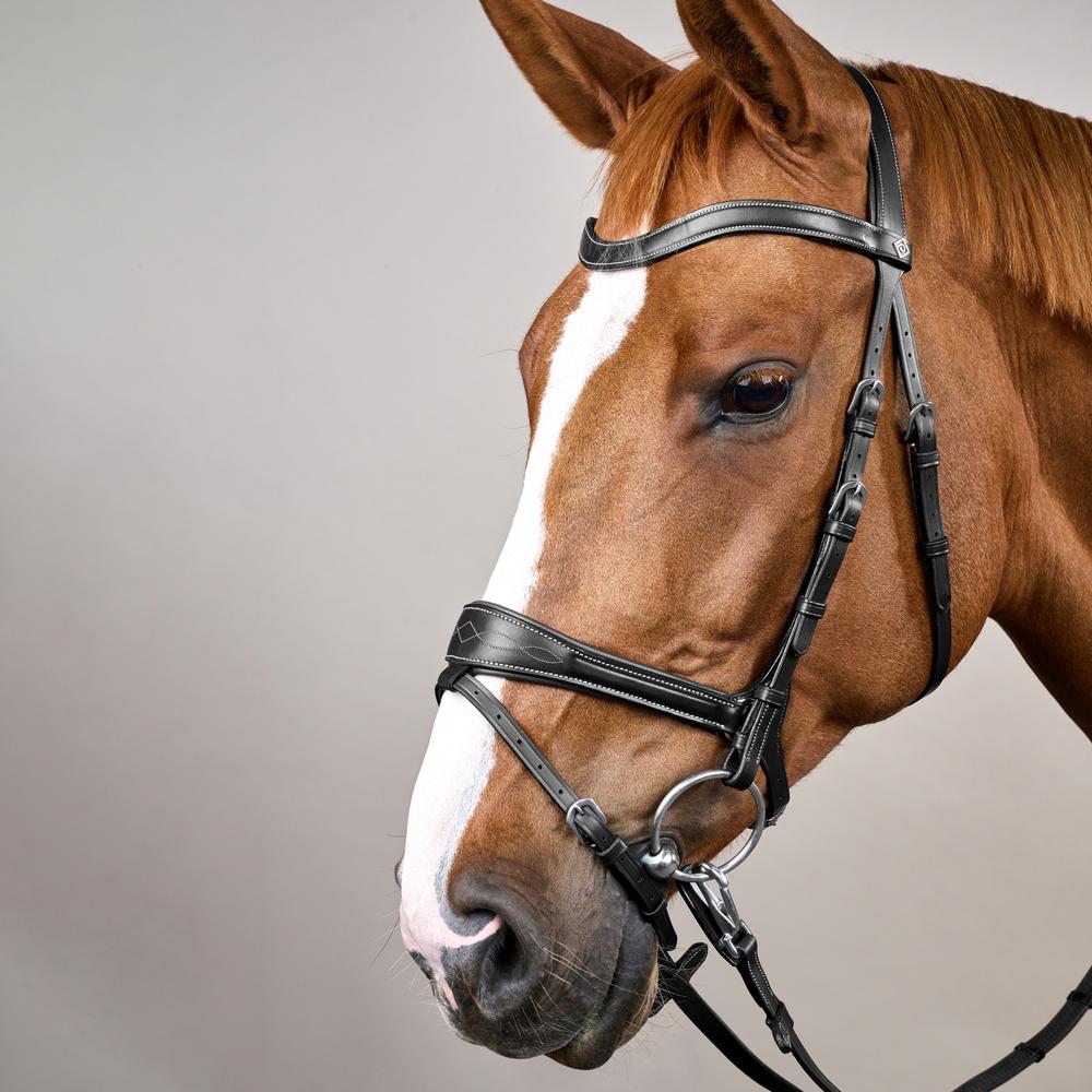 Working Motion Bridle WO | Dy'on | versatile — Image 5