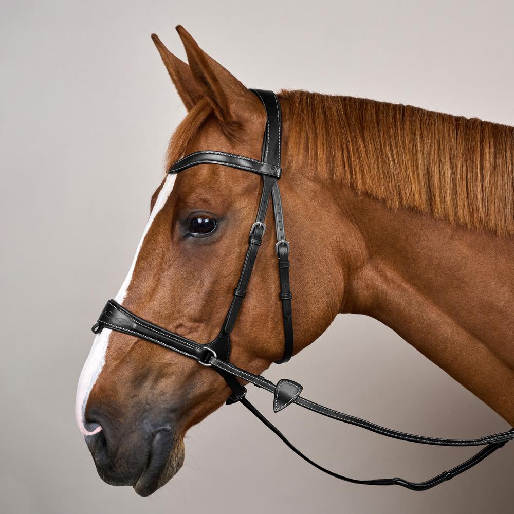Working Motion Bridle WO | Dy'on | versatile — Image 12