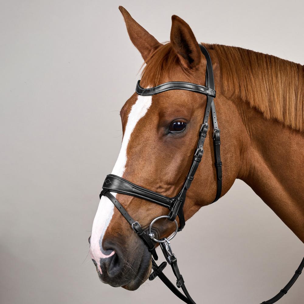 Working Motion Bridle WO | Dy'on | versatile — Image 6