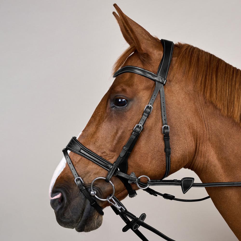 Working Motion Bridle WO | Dy'on | versatile — Image 8