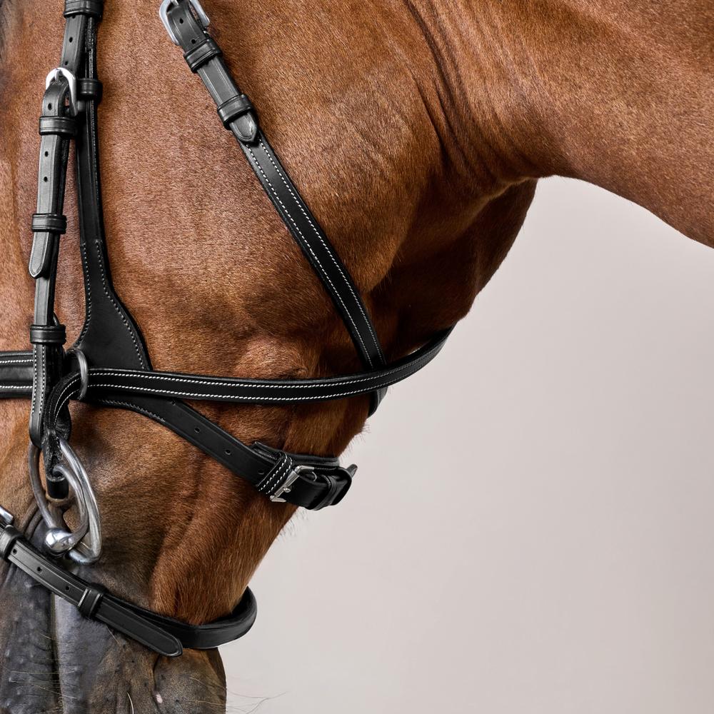Working Motion Bridle WO | Dy'on | versatile — Image 9