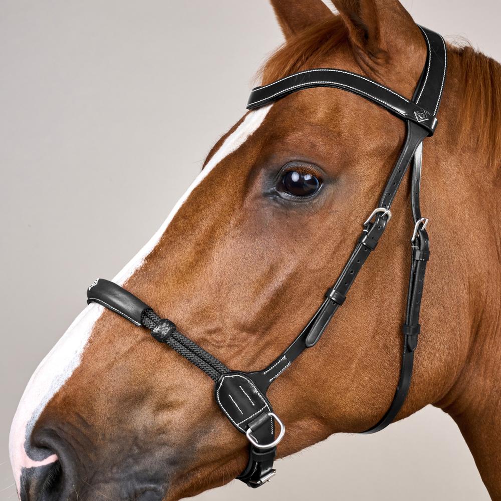 Bitless Bridle WO | Dy'on | bitlesscomfort — Image 4