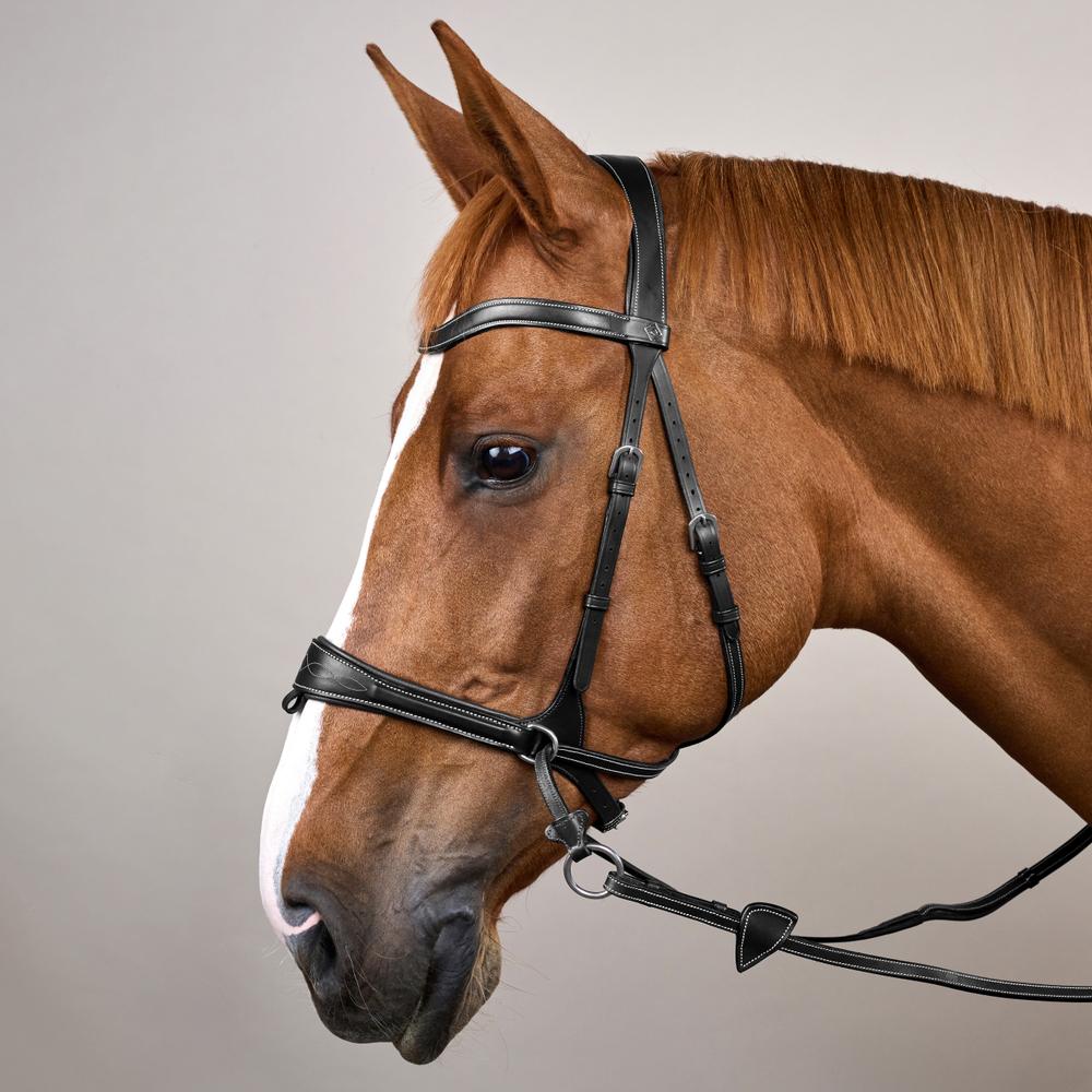 Working Motion Bridle WO | Dy'on | versatile — Image 10