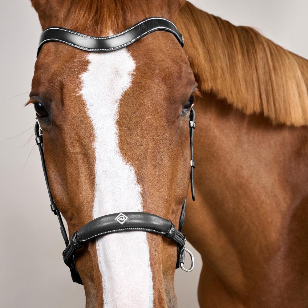 Bitless Bridle WO | Dy'on | bitlesscomfort — Image 5