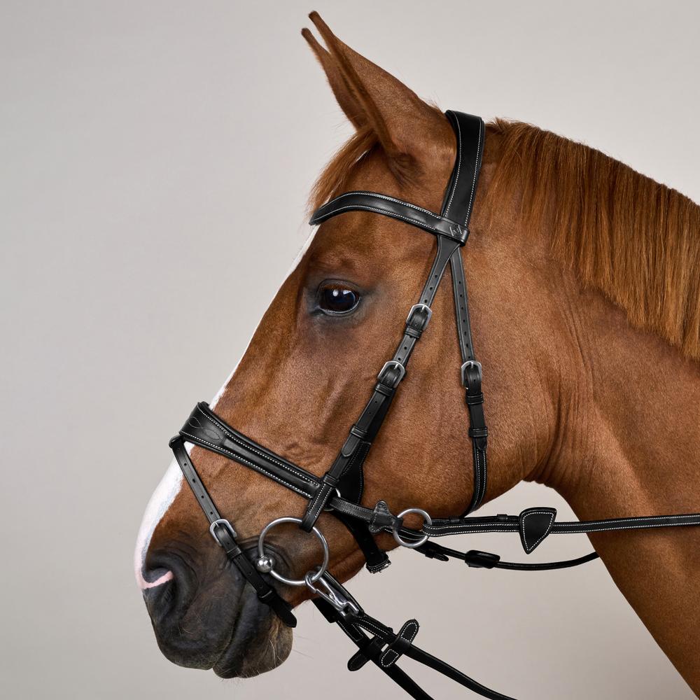 Working Motion Bridle WO | Dy'on | versatile — Image 7