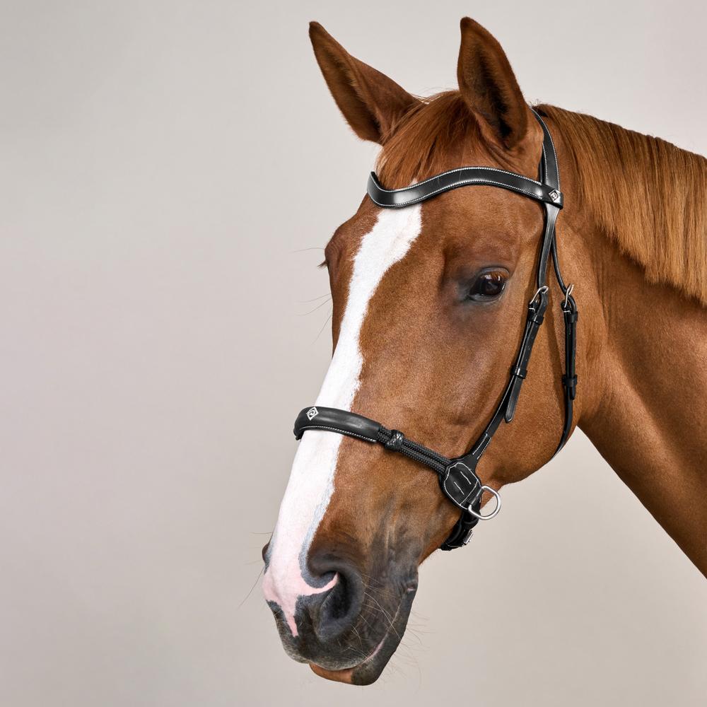 Bitless Bridle WO | Dy'on | bitlesscomfort — Image 2