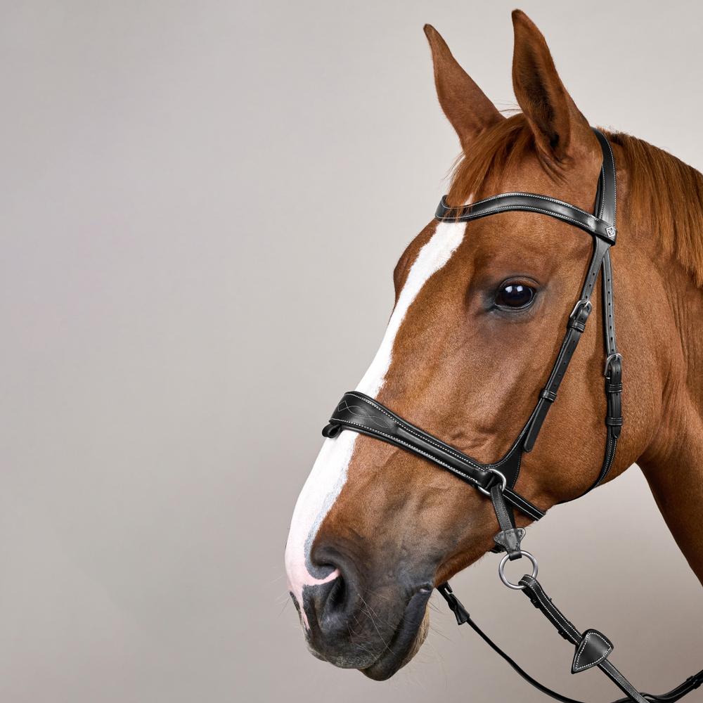 Working Motion Bridle WO | Dy'on | versatile — Image 11