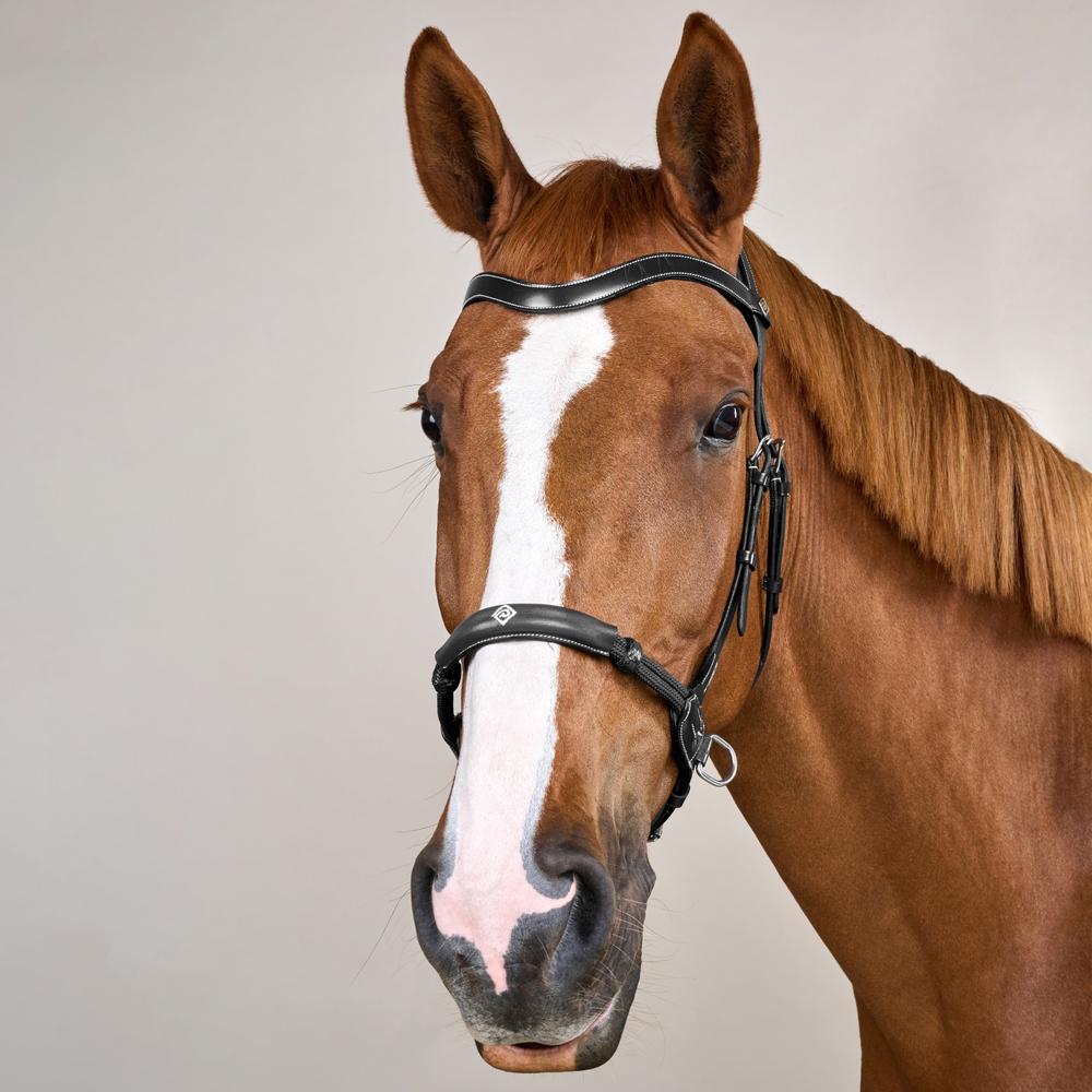 Bitless Bridle WO | Dy'on | bitlesscomfort — Image 3