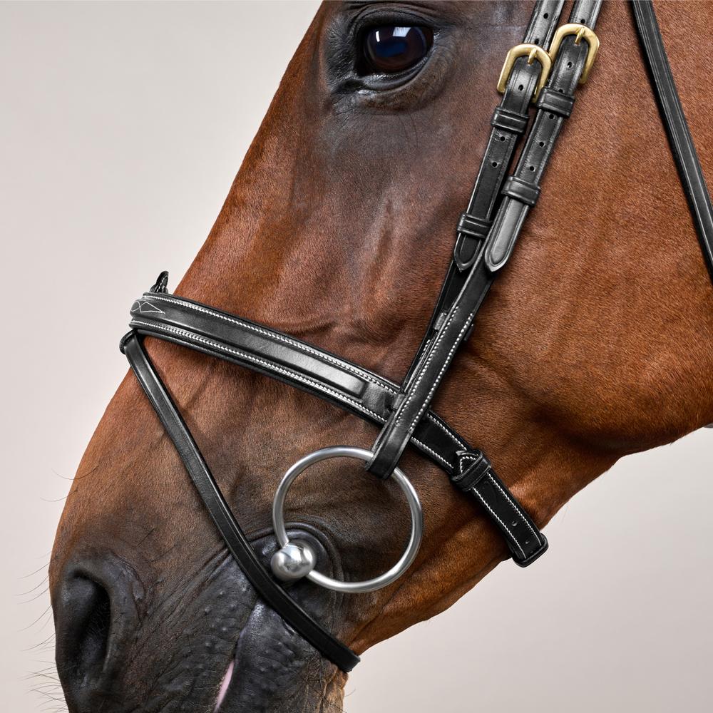 Flash Noseband Bridle DY | Dy'on | Versatile — Image 8