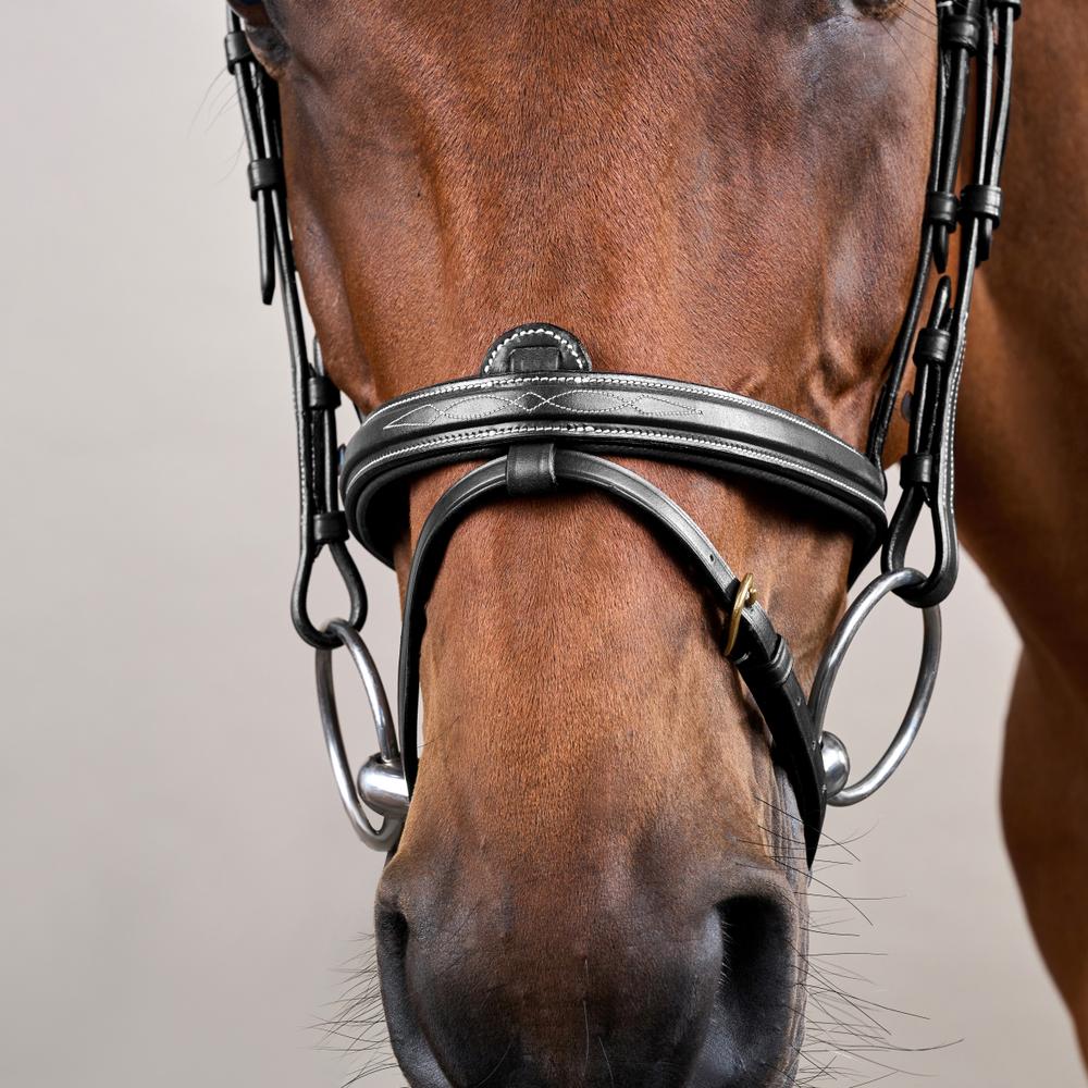 Flash Noseband Bridle DY | Dy'on | Versatile — Image 7
