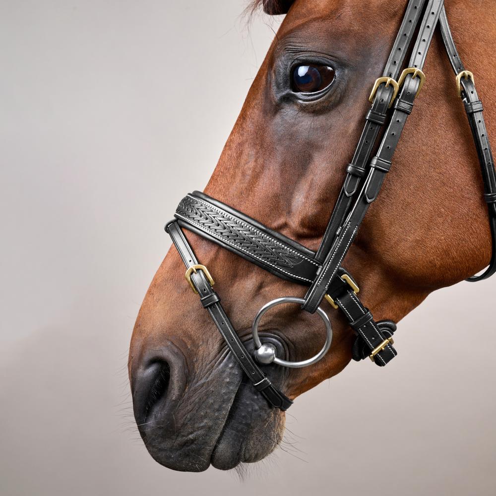 Plaited Flash Noseband Bridle with Pull back DY | Dy'on | elegance — Image 8