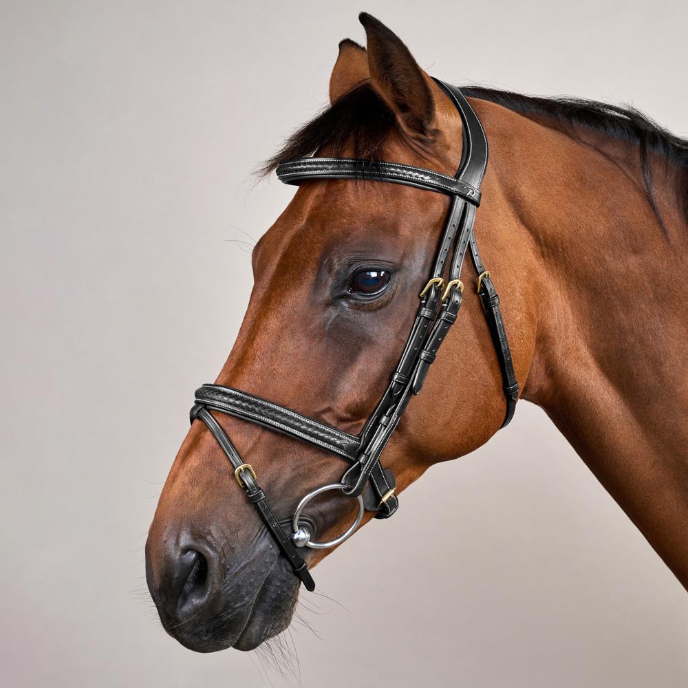 Plaited Flash Noseband Bridle DY | Dy'on | Comfort
