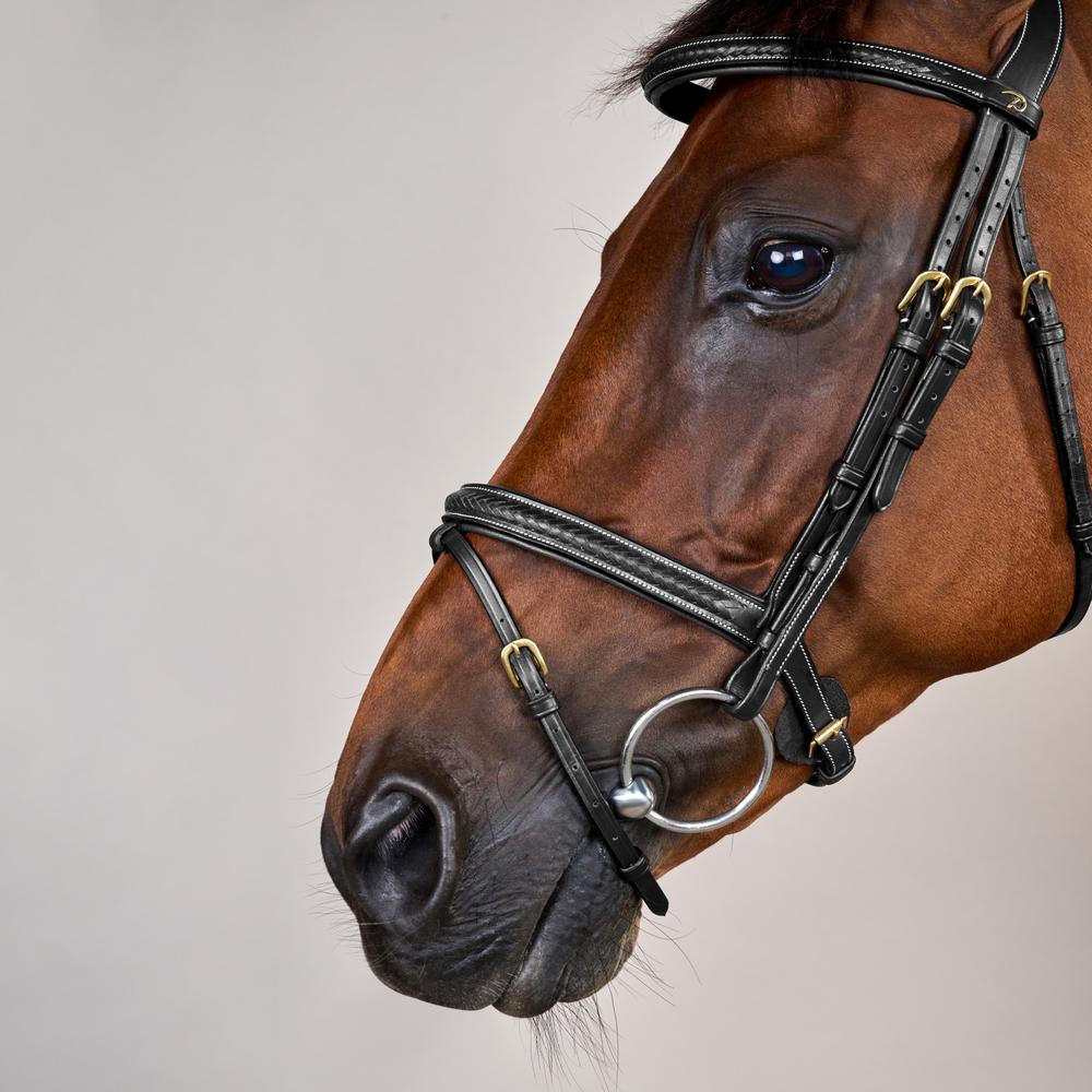Plaited Flash Noseband Bridle DY | Dy'on | Comfort — Image 3
