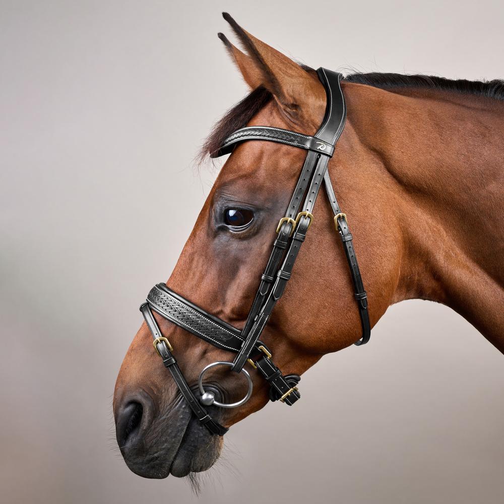 Plaited Flash Noseband Bridle with Pull back DY | Dy'on | elegance — Image 7