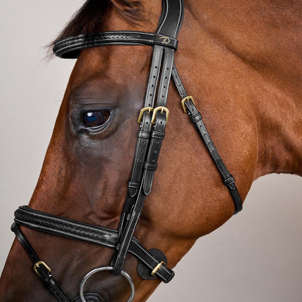 Plaited Flash Noseband Bridle DY | Dy'on | Comfort — Image 4
