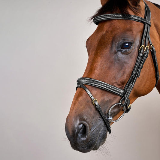 Plaited Flash Noseband Bridle DY | Dy'on | Comfort — Image 2