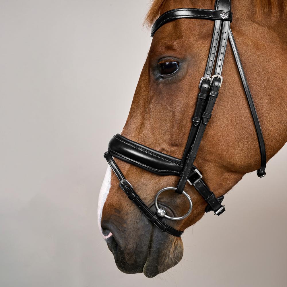 Matte Large Crank Noseband Bridle With Flash WO | Dy'on | Comfort — Image 4