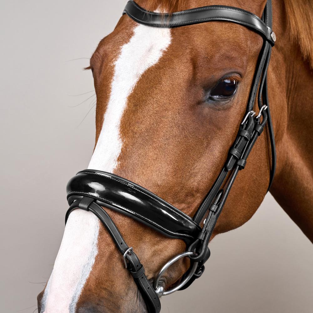 Patent Large Crank Noseband Bridle With Flash WO | Dy'on | Comfort — Image 10