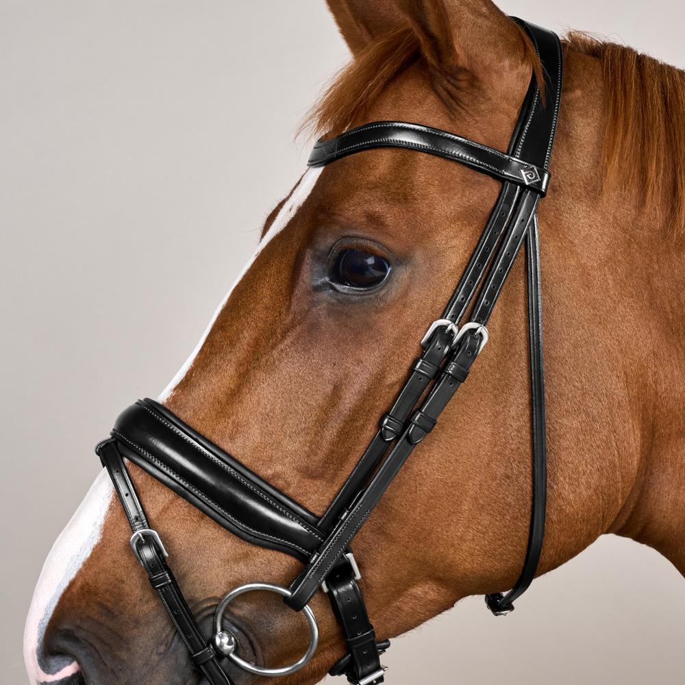 Matte Large Crank Noseband Bridle With Flash WO | Dy'on | Comfort — Image 3