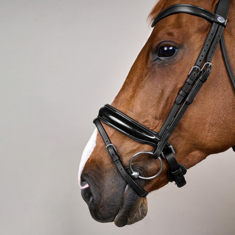 Patent Large Crank Noseband Bridle With Flash WO | Dy'on | Comfort — Image 9