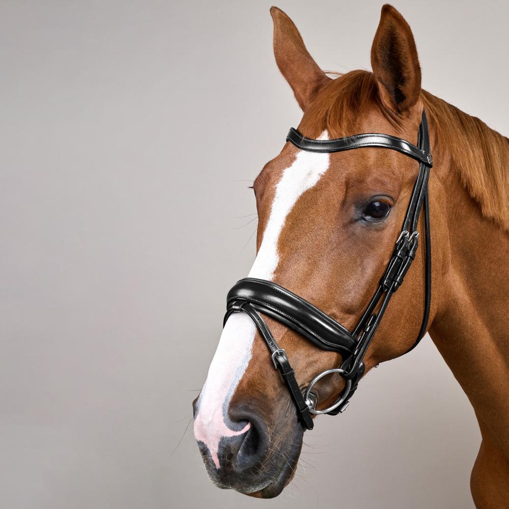 Matte Large Crank Noseband Bridle With Flash WO | Dy'on | Comfort — Image 2