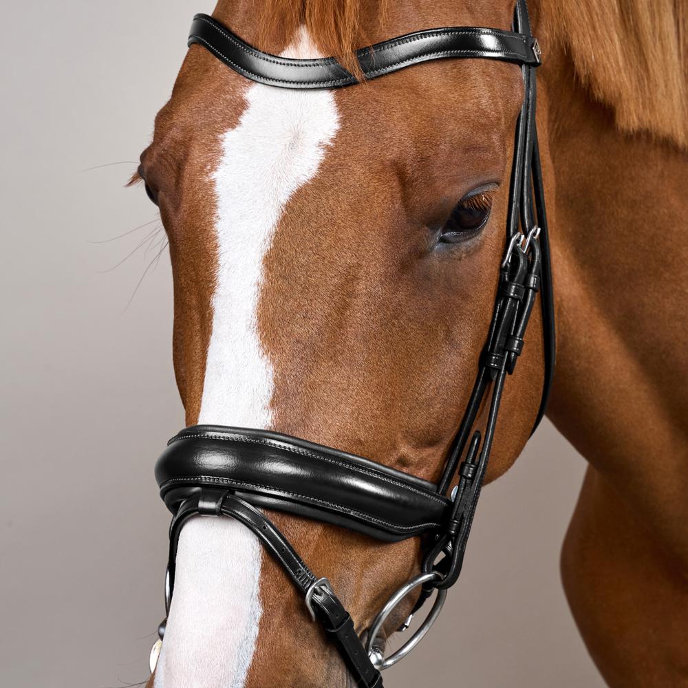 Matte Large Crank Noseband Bridle With Flash WO | Dy'on | Comfort — Image 5
