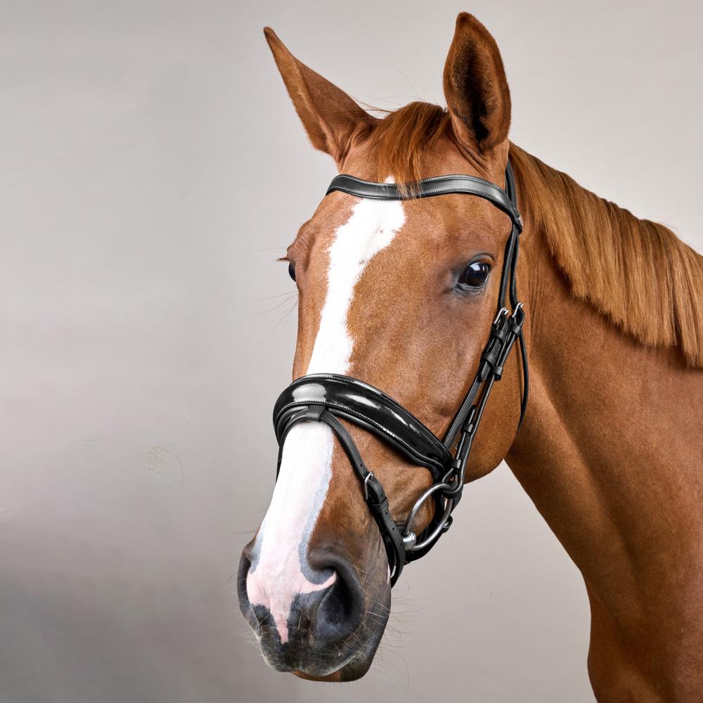 Patent Large Crank Noseband Bridle With Flash WO | Dy'on | Comfort — Image 7