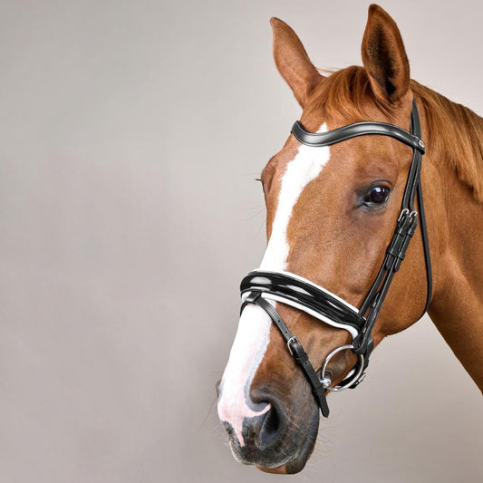 Patent Large Crank Noseband Bridle With White Padding And Flash WO | Dy'on | Control — Image 2