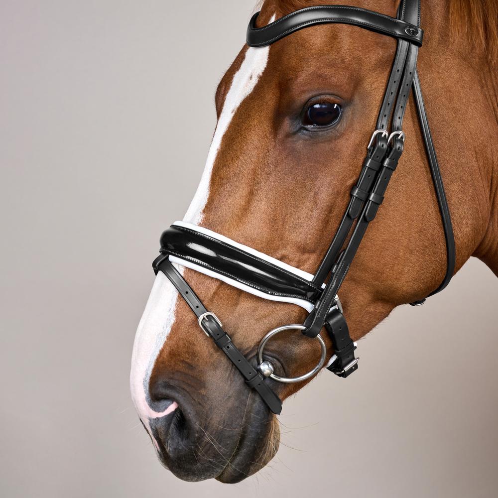 Patent Large Crank Noseband Bridle With White Padding And Flash WO | Dy'on | Control — Image 4