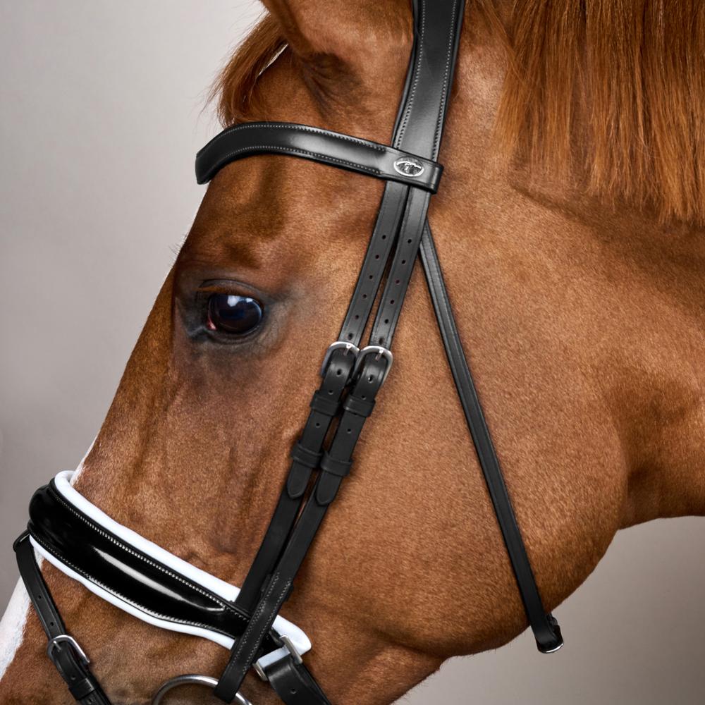 Patent Large Crank Noseband Bridle With White Padding And Flash WO | Dy'on | Control — Image 3
