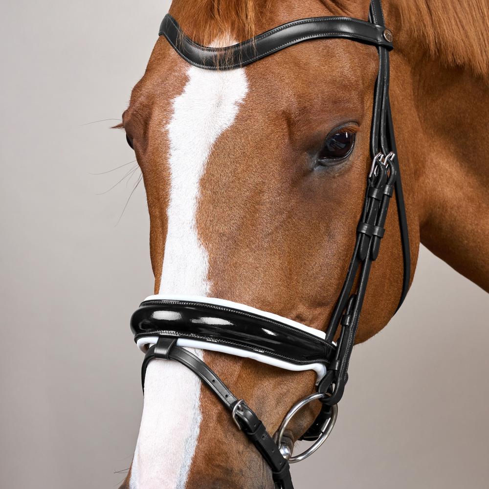Patent Large Crank Noseband Bridle With White Padding And Flash WO | Dy'on | Control — Image 5