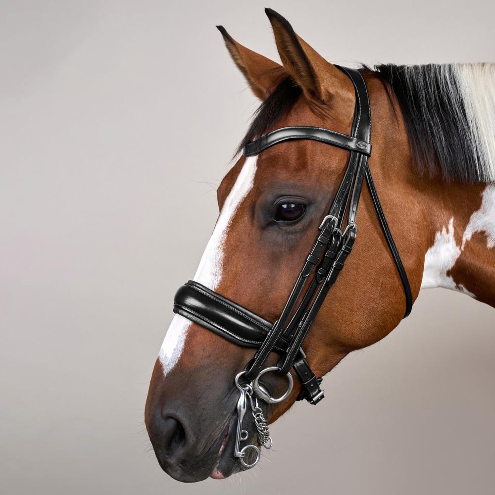 Matte Large Crank Noseband Double Bridle | Dy'on | Comfort — Image 3