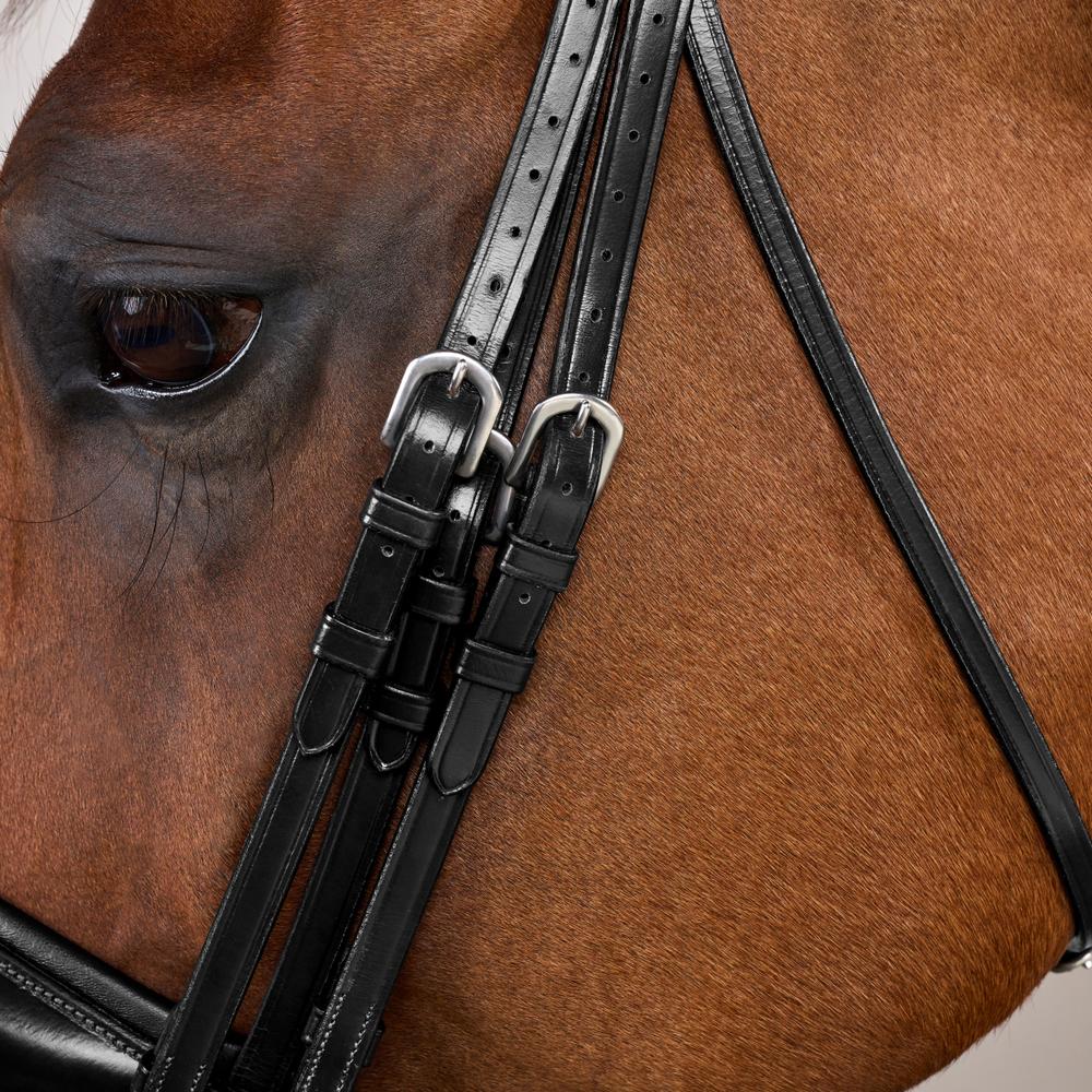 Matte Large Crank Noseband Double Bridle | Dy'on | Comfort — Image 4