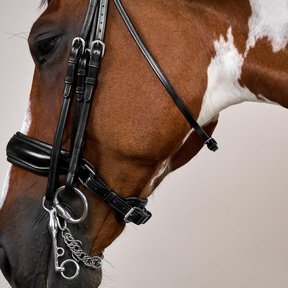 Matte Large Crank Noseband Double Bridle | Dy'on | Comfort — Image 5