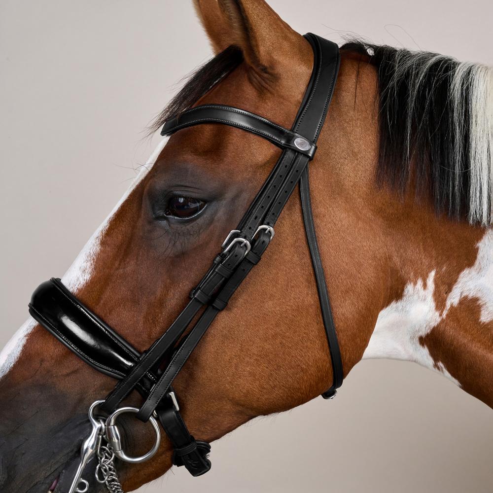 Patent Large Crank Noseband Double Bridle | Dy'on | elegantdesign — Image 3