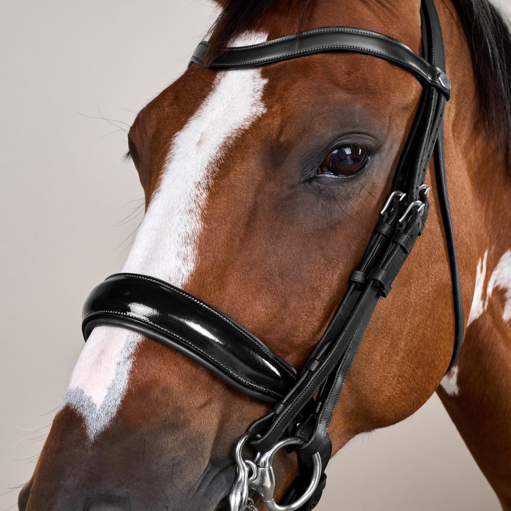 Patent Large Crank Noseband Double Bridle | Dy'on | elegantdesign — Image 5