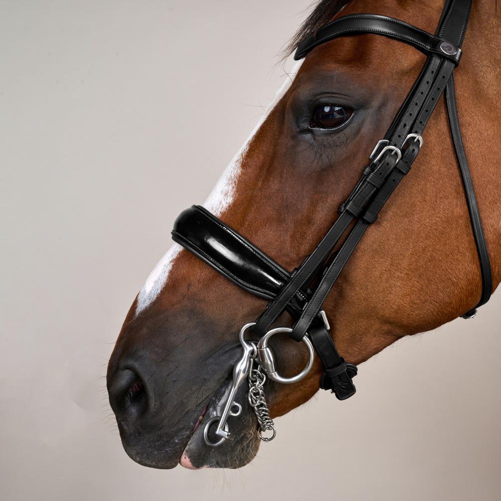 Patent Large Crank Noseband Double Bridle | Dy'on | elegantdesign — Image 4