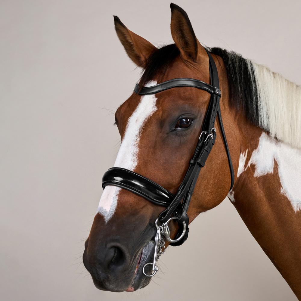 Patent Large Crank Noseband Double Bridle | Dy'on | elegantdesign — Image 2